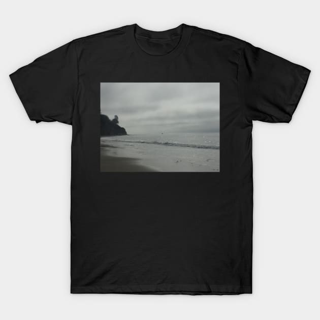 Grey Day T-Shirt by ephotocard